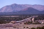 ATSF 3829 East near Darling